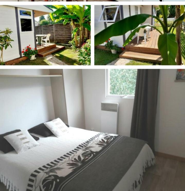 Chalet Narrosse Εξωτερικό φωτογραφία